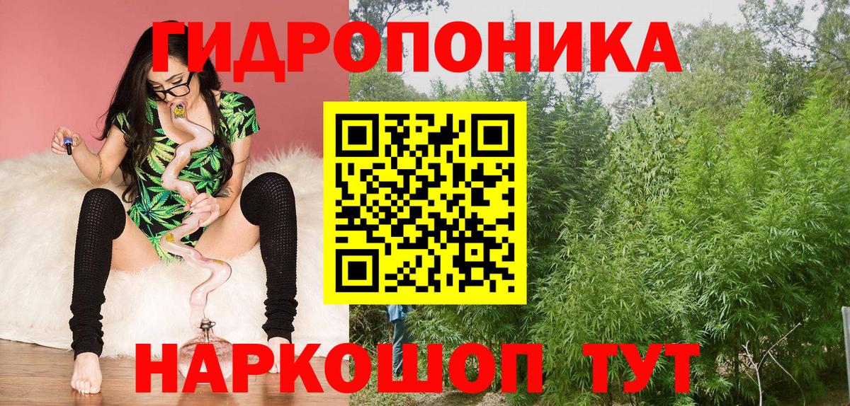 Канабис Bruce Banner Ярцево